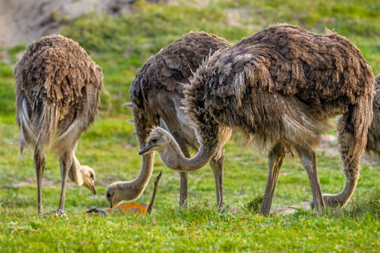 Ein Land voller Farben und Überraschungen ©Sunil Singh/istock